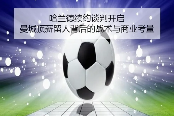 ha-lan-de-xu-yue-tan-pan-kai-qi-man-cheng-ding-xin-liu-ren-bei-hou-de-zhan-shu-yu-shang-ye-kao-liang-3-634.jpg
