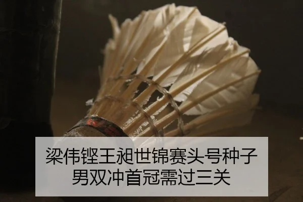 liang-wei-keng-wang-chang-shi-jin-sai-tou-hao-zhong-zi-nan-shuang-chong-shou-guan-xu-guo-san-guan-2-131.jpg