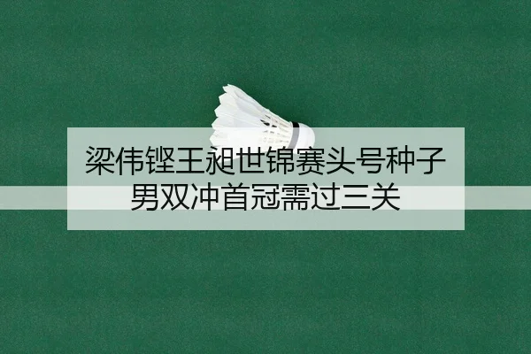 梁伟铿王昶世锦赛头号种子 男双冲首冠需过三关